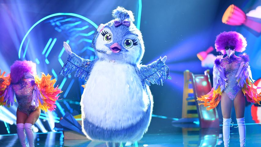 Das "The Masked Singer"-Küken
