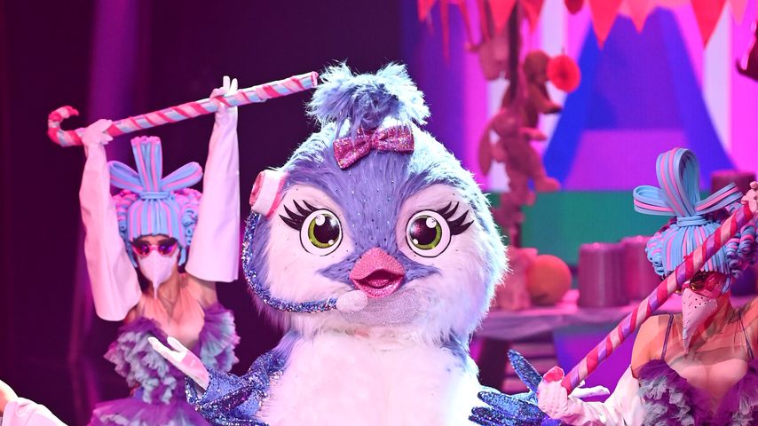 Das "The Masked Singer"-Küken