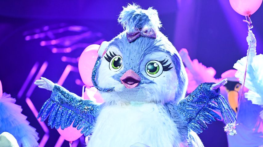 Das "The Masked Singer"-Küken