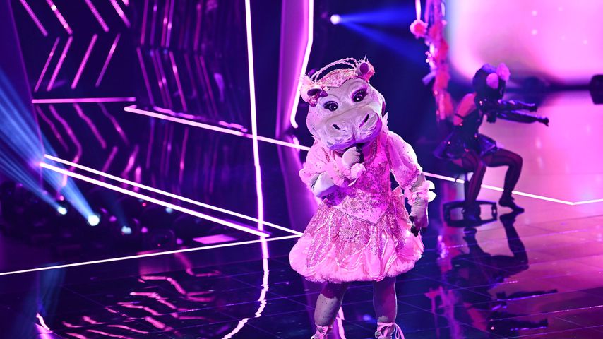 Das "The Masked Singer"-Nilpferd