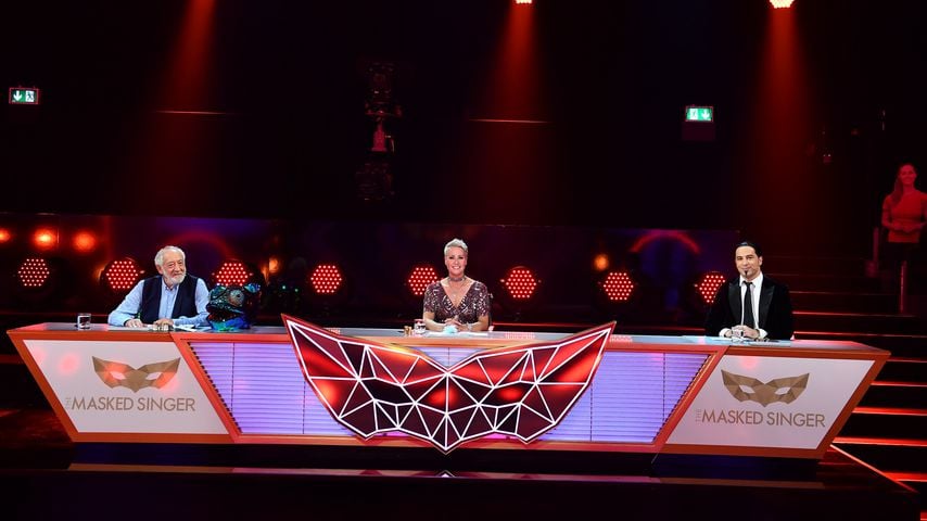 Das "The Masked Singer"-Rateteam, Herbst 2020