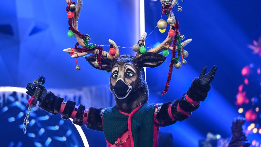 Das "The Masked Singer"-Rentier