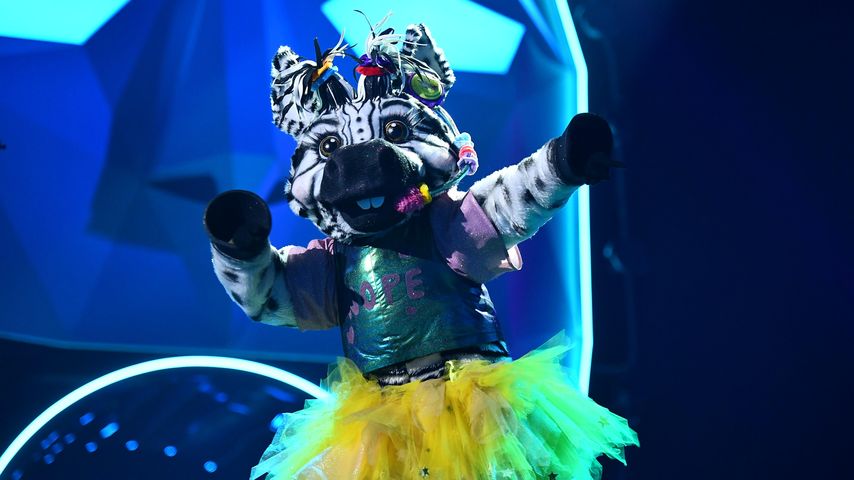 Das "The Masked Singer"-Zebra