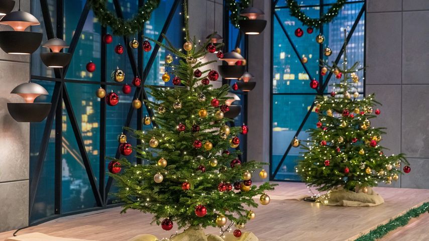 Das Weihnachts-Special bei "Die Höhle der Löwen"