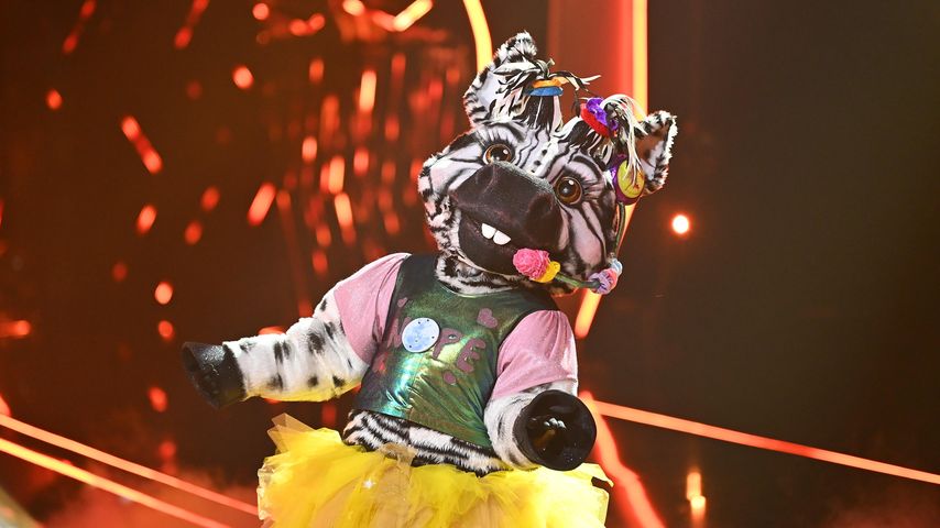 Vorm Finale: Alle Indizien zum "The Masked Singer"-Zebra