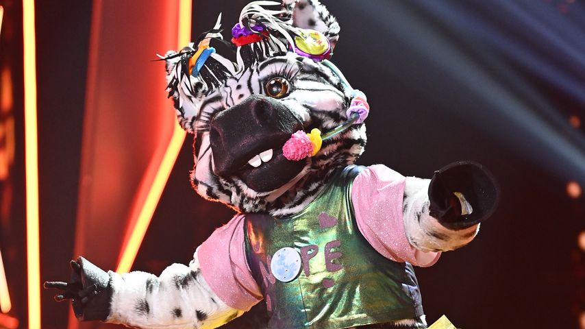 Das Zebra bei "The Masked Singer"