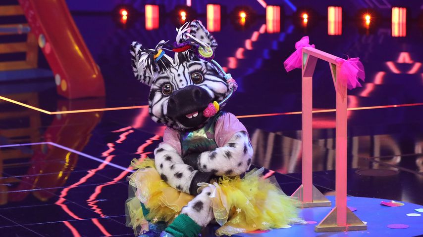 Das Zebra bei "The Masked Singer"