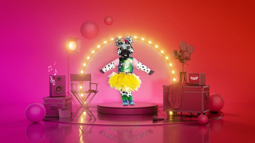 Das Zebra von "The Masked Singer"
