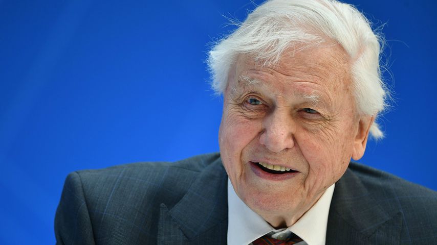 David Attenborough in Washington