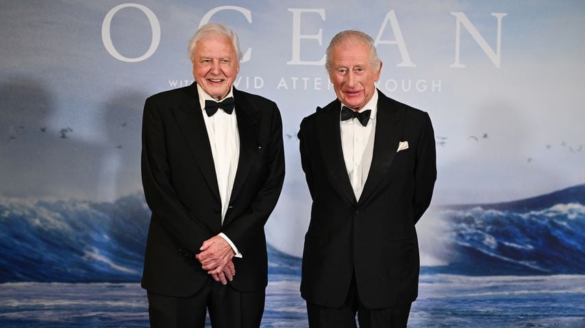 David Attenborough wird 100: Charles & David Beckham feiern