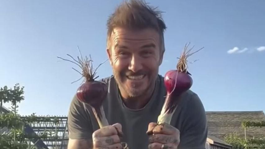David Beckham bei der Gartenarbeit