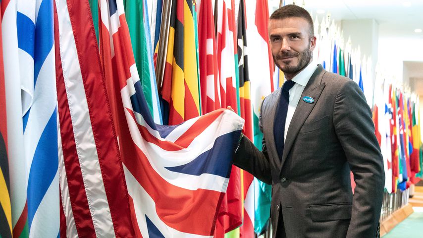 David Beckham, November 2019