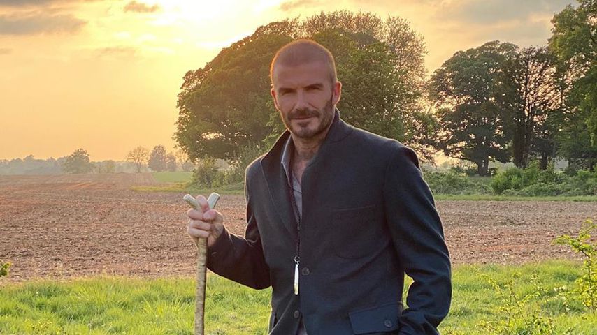 Keine Mützen mehr: David Beckham trägt wieder eine Glatze