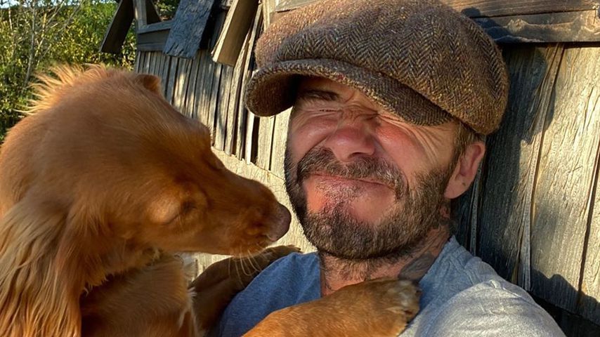 David Beckham mit seinem Hund Sage im August 2020