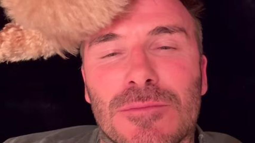 David Beckham mit seinem Hund Simba