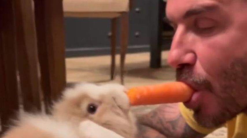 David Beckham mit einem Kaninchen