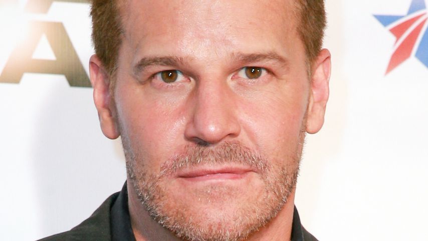 Reunion mit Plüschtier: So sehen die "Angel"-Stars heute aus