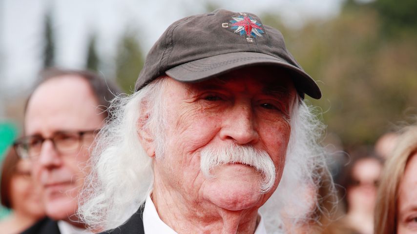 David Crosby, Musiker