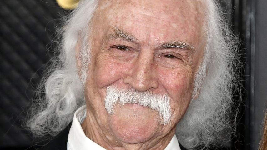 David Crosby, Musiker
