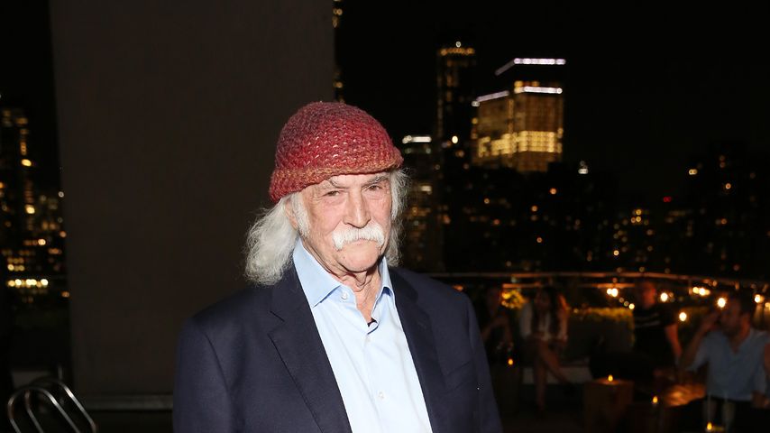 David Crosby, Gitarrist