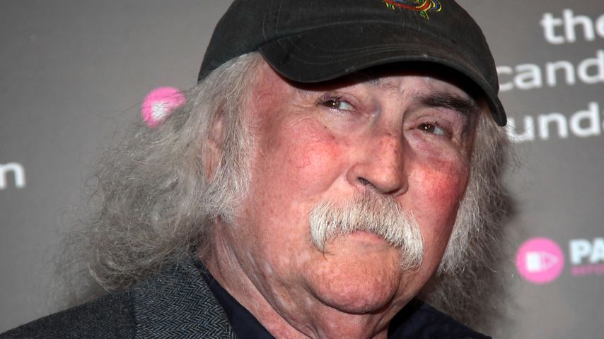 David Crosby, Musiker