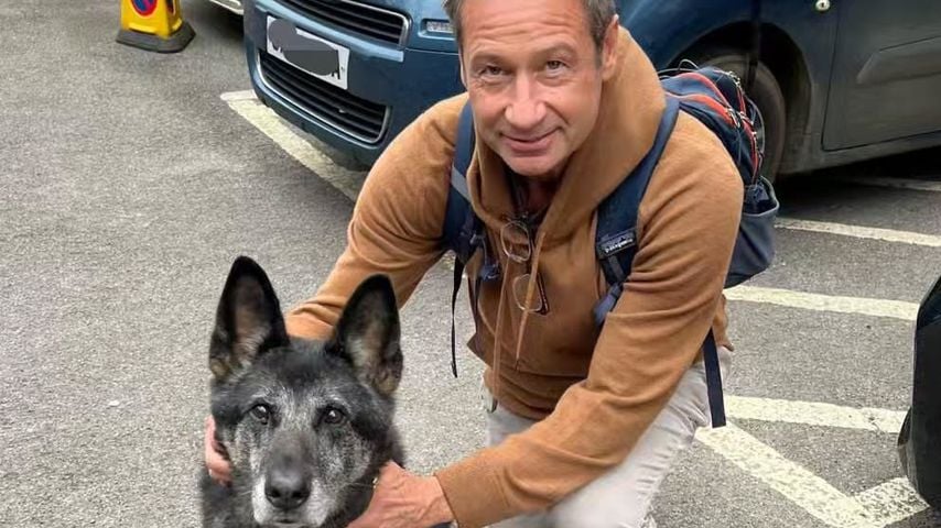 Hündin Antilly mit Hollywoodstar David Duchovny