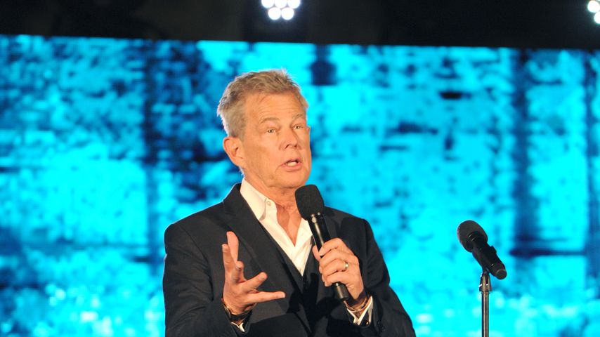 David Foster, Musikproduzent