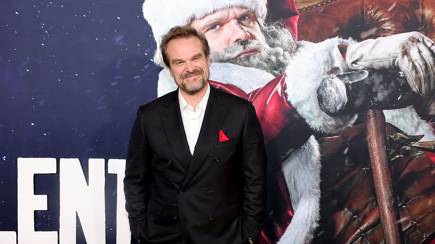 David Harbour, Schauspieler