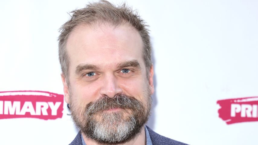 David Harbour, Schauspieler
