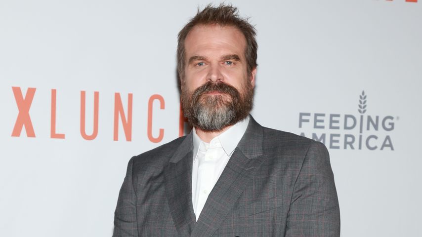 David Harbour, Schauspieler