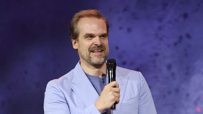 David Harbour, Schauspieler