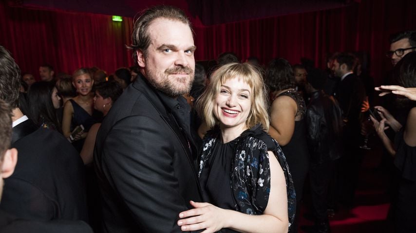 David Harbour und Alison Sudol