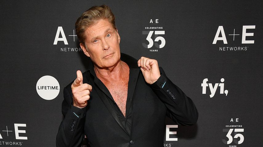 David Hasselhoff, Schauspieler und Sänger
