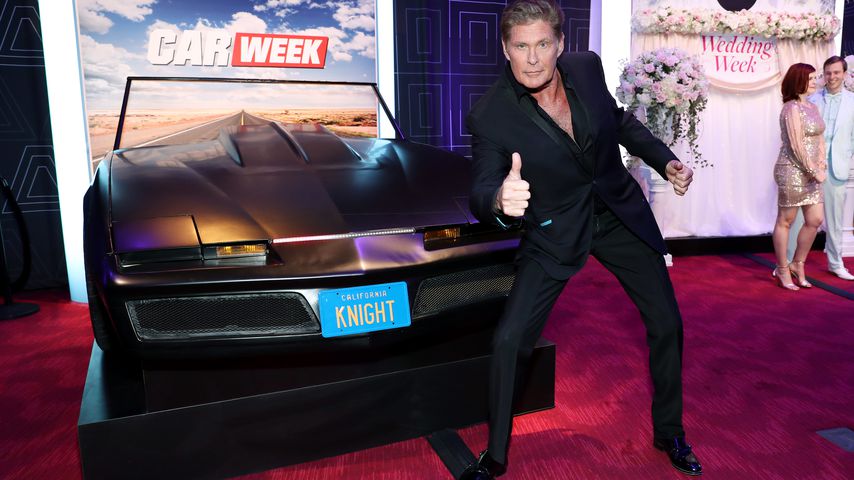 David Hasselhoff, Schauspieler
