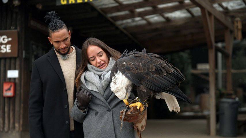 David Jackson und Angelina Utzeri bei "Der Bachelor"
