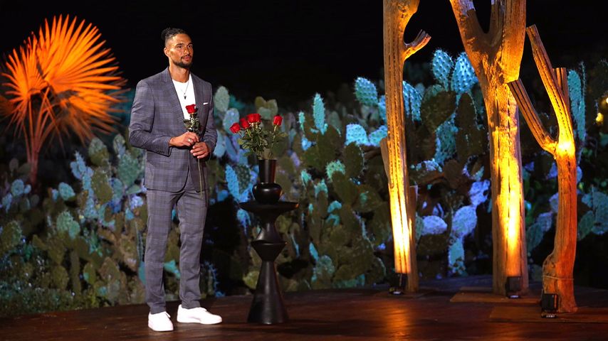 Bachelor-Spoiler: Diese Frauen packen freiwillig ihre Koffer