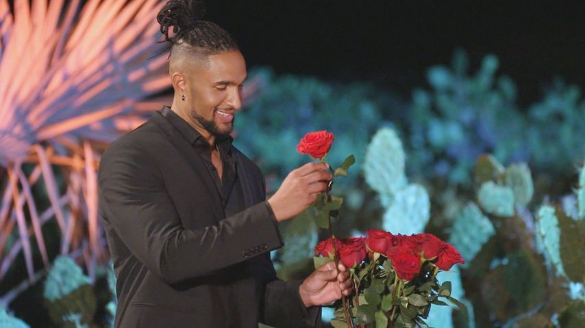 Nicht mehr Colleen: Sie ist jetzt euer Bachelor-Liebling!