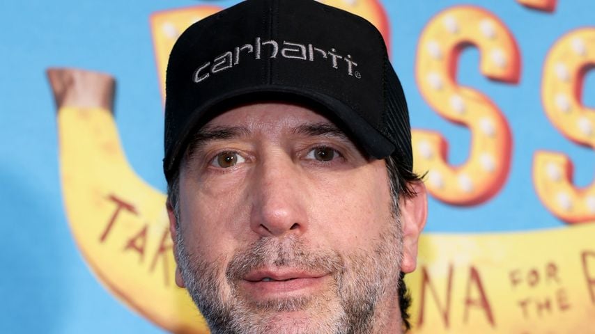 David Schwimmer bei der Premiere von "Jeff Ross: Take A Banana For The Ride"