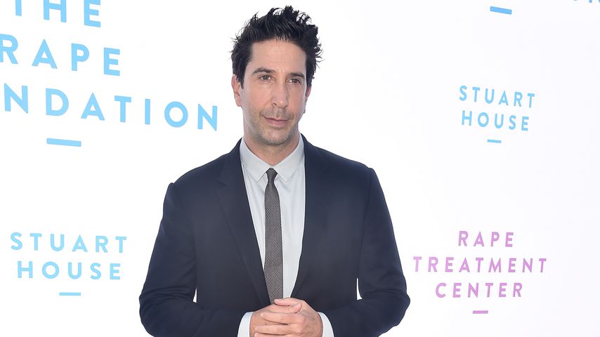 "Friends"-Ross mit Fünftagebart & Wuschelmähne