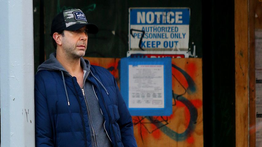 David Schwimmer, Schauspieler