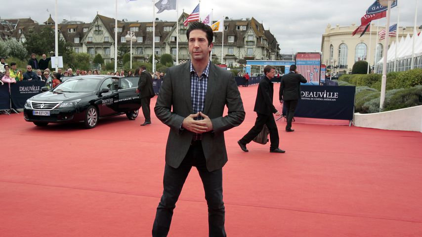 David Schwimmer, Schauspieler