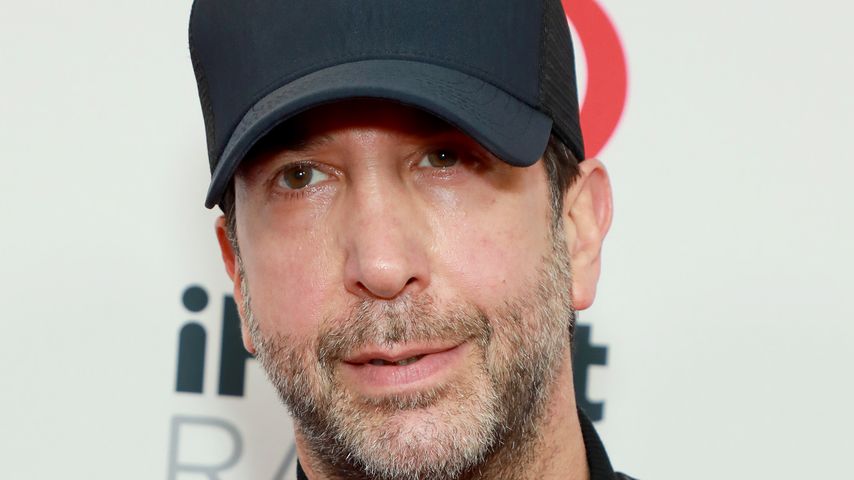 David Schwimmer, Schauspieler