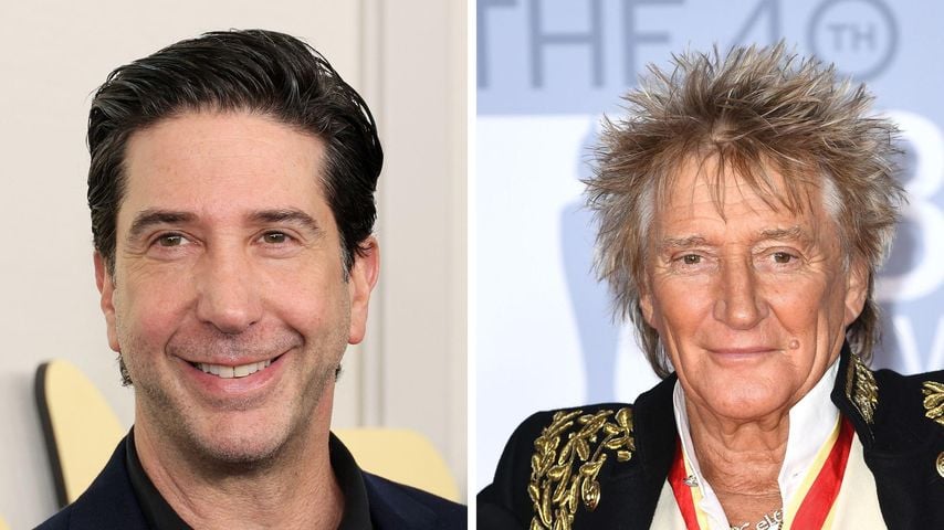 David Schwimmer lieferte Rod Stewart die Scheidungspapiere