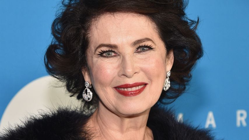 Dayle Haddon, Schauspielerin