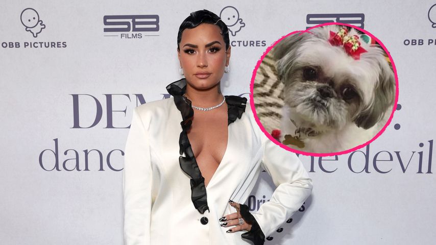 "Ruhe in Frieden": Demi Lovato trauert um Familienhund Bella