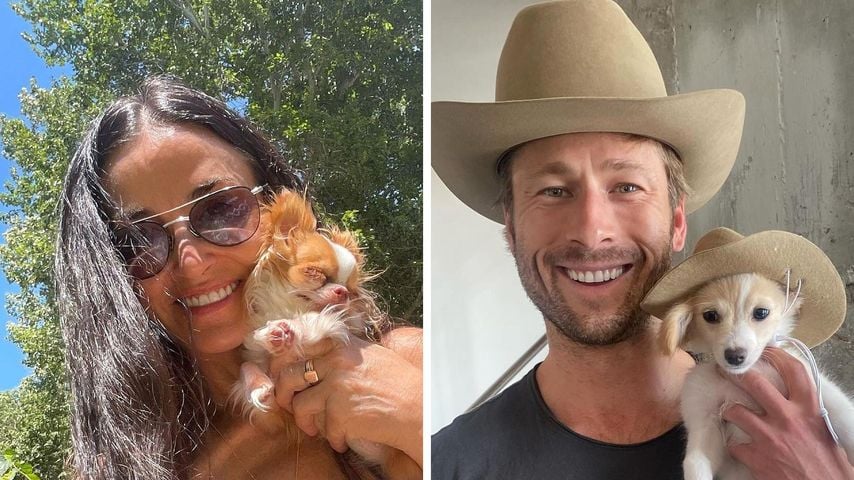 Süß: Demi Moore und Glen Powell verkuppelten ihre Hunde