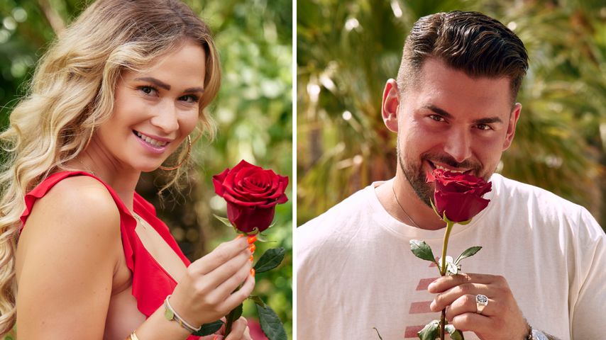 Denise hätte "Bachelor in Paradise"-loannis wählen sollen