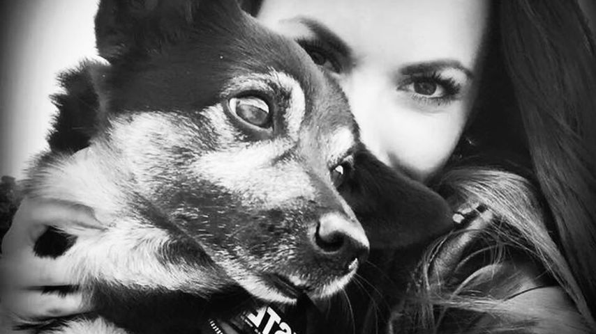 Sommerhaus-Star Denise Kappès trauert: Ihr Hund Luis ist tot