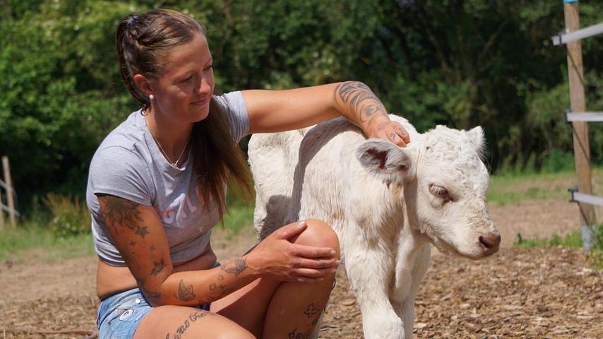 Klaut Baby Zeit für den Hof? Veterinär bei TV-Bäuerin Denise