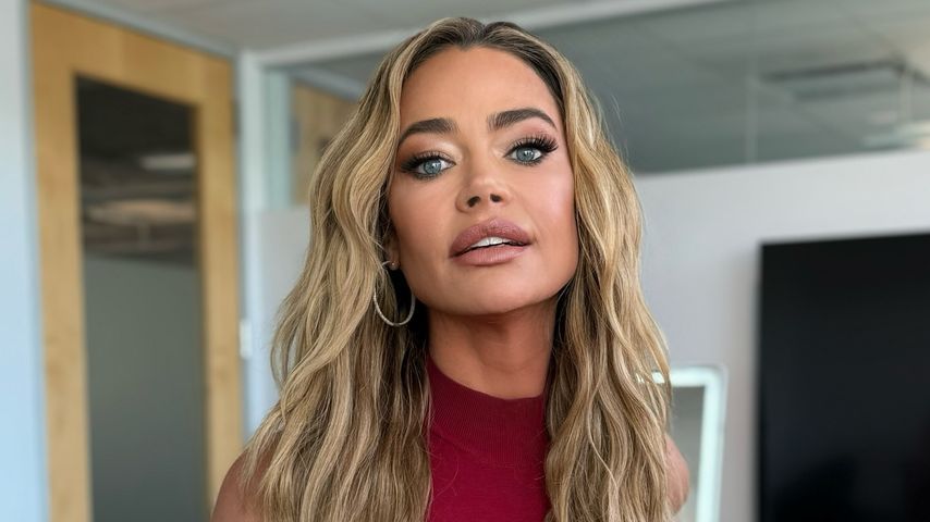 Denise Richards, Realitystar